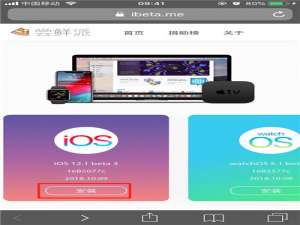 小编教你ios12.1beta3下载描述文件的详细操作。