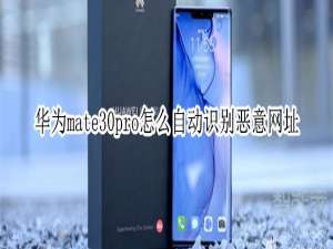 小编教你mate30pro如何自动识别恶意网址。