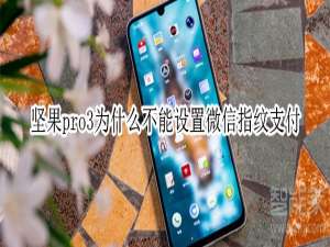 小编教你坚果pro3不能设置微信指纹支付怎么回事。