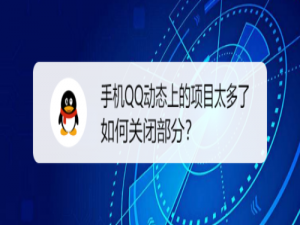 小编教你手机QQ动态上项目太多怎么关闭部分。