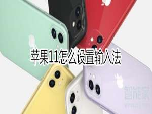小编教你iphone11输入法如何设置。