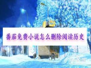 小编教你番茄免费小说如何删除阅读历史。