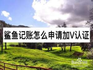 小编教你鲨鱼记账如何申请加V认证。