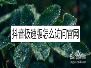 小编教你抖音极速版如何访问官网。