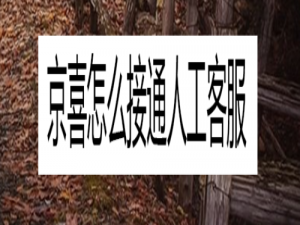 小编教你京喜在哪联系人工客服。