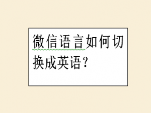 小编教你微信语言在哪切换成英语。