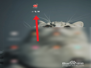 小编教你小青淘怎么清除缓存数据。