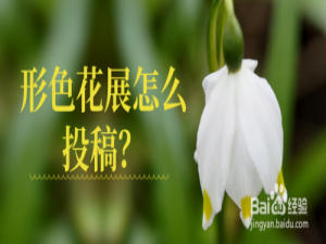 小编教你如何在形色花展上进行投稿。