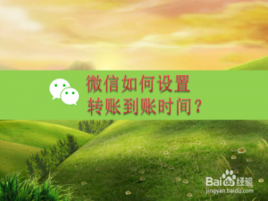 小编教你微信在哪调整转账到账时间。