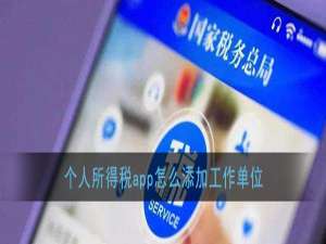小编教你个人所得税工作单位在哪添加。