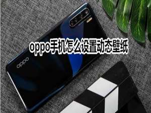 小编教你oppo在哪设置手机动态壁纸。