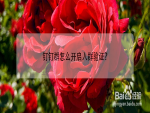 小编教你钉钉群怎么设置入群验证。