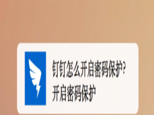 小编教你钉钉密码保护开启方法介绍。