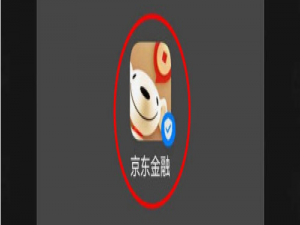 小编教你京东金融小白信用值怎么提升。