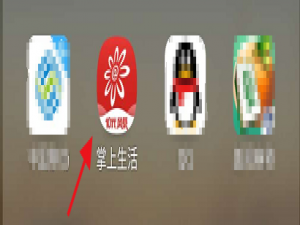 小编教你掌上生活怎么使用境外支付码。