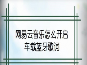 小编教你网易云音乐怎么设置显示车载歌词。
