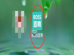 小编教你boss直聘夜间免打扰模式怎么启用。
