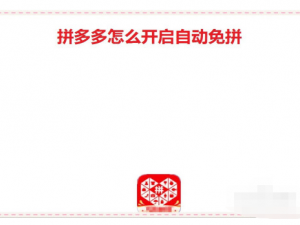 小编教你拼多多在哪开启自动免拼功能。