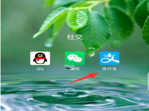 小编教你支付宝声音和振动怎么开启。