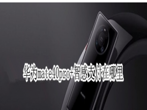 小编教你华为mate40pro+智感支付功能设置方法介绍。