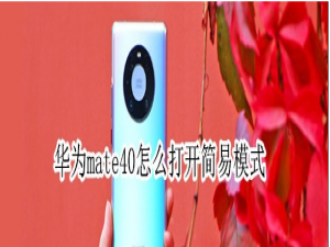 小编教你华为mate40怎么开启简易模式。