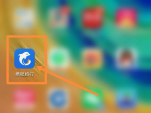 携程怎么在线办理值机。