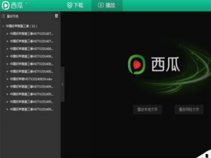 西瓜影音怎么样。