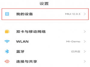 小米11开发者选项去在哪里打开。