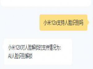 小米12x有人脸识别功能吗。
