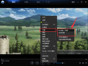 迅雷看看怎么添加字幕。