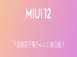 下面哪项不属于 miui 11 新功能。