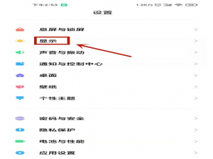 小米全屏显示在什么地方打开。