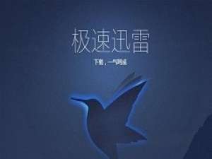 迅雷设置不响应下载的操作步骤。
