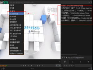 想让视频呈现双语字幕吗
