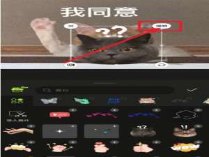醒图透明度在哪里设置。