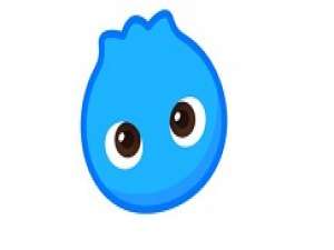 洋葱学院怎么扫二维码。