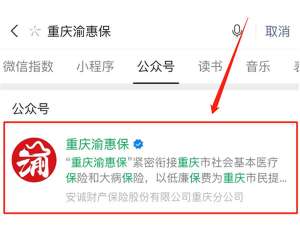 渝惠保查电子保单怎么查。