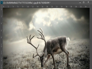 用PS软件让图片更清晰的设置技巧