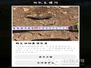 野生动物粪便收集为什么不能用手。