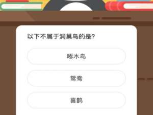 以下不属于洞巢鸟的是。