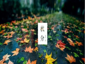 一些小细节就能提高PPT质量，不了解下