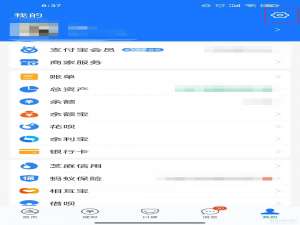 支付宝如何看自动续费的东西。