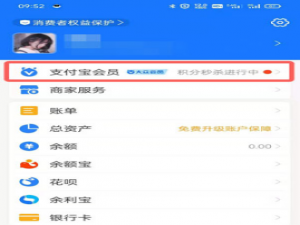 支付宝如何定制项链。