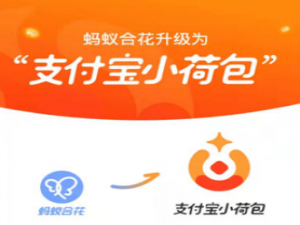 支付宝小荷包如何关掉。
