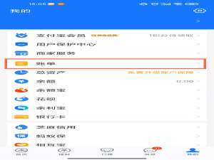 支付宝一年的支出总计在哪里看。