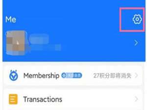 支付宝怎么切换语言系统。