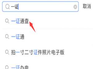 支付宝一证通查如何使用。