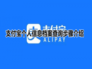 支付宝隐私保护如何查个人信息。