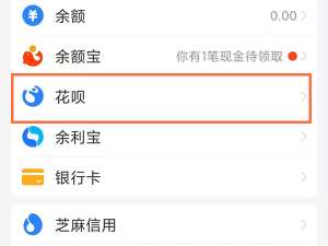 支付宝花呗还款日调整在哪里设置。