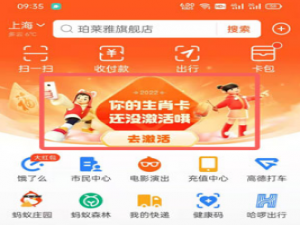 支付宝万能福卡如何使用。
